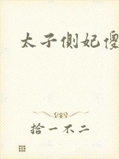 太子侧妃傻乎乎