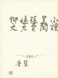 柳姨张昊小说全文免费阅读