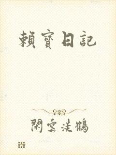 赖宝日记封面