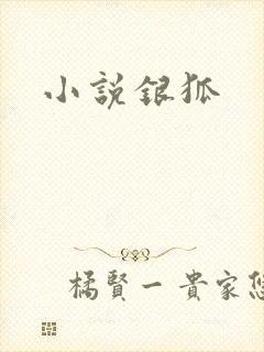 小说银狐
