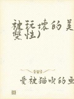 被玩坏的美人(双性)