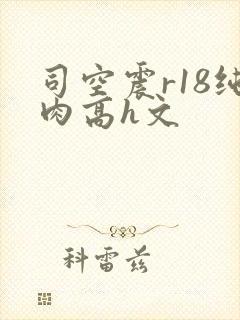 司空震r18纯肉高h文