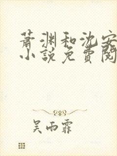 萧渊和沈安安的小说免费阅读