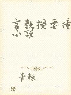 言教授要撞坏了小说