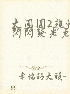 大团圆2亲情会闪闪发光免费