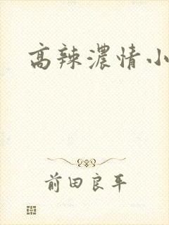 高辣浓情小说