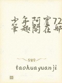 少年阿宾72章笔趣阁在哪看