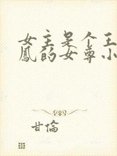 女主是个王爷姓凤的女尊小说