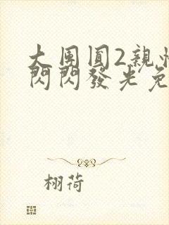 大团圆2亲情会闪闪发光免费