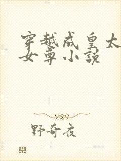 穿越成皇太女的女尊小说