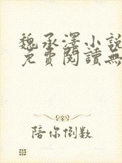 魏承泽小说全文免费阅读无弹窗笔趣