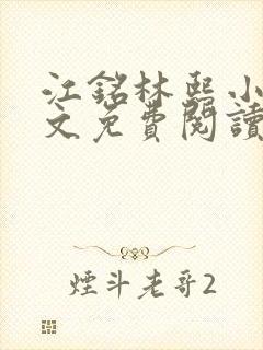 江铭林熙小说全文免费阅读