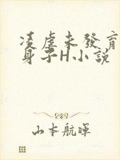 凌虐未发育的小身子H小说