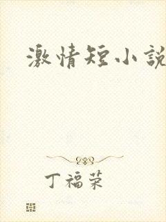 激情短小说封面