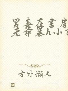 男妾在书房边被老爷暴h小说