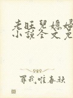 老旺儿媳妇秦雨小说全文免费阅读封面