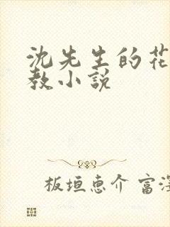 沈先生的花式调教小说封面