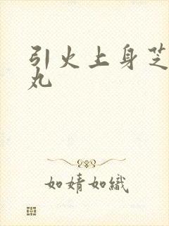 引火上身芝麻糖丸