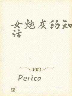 女炮灰的知青生活