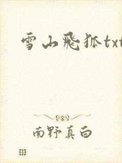 雪山飞狐txt