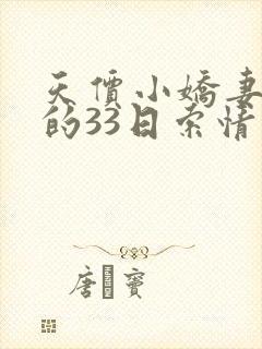 天价小娇妻总裁的33日索情封面