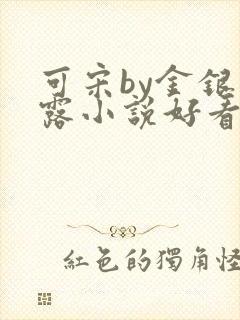 可宋by金银花露小说好看吗