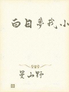 白日梦我小说封面