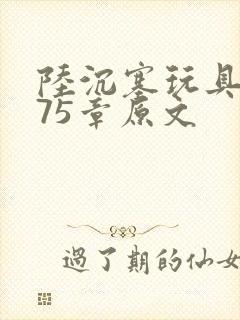 陆沉塞玩具高速75章原文