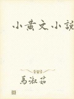 小黄文小说封面