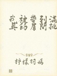 我被带到满是玩具的房间挑调游戏