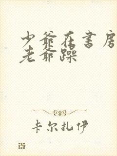 少爷在书房边被老爷躁