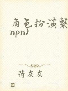 角色扮演系统(npn)