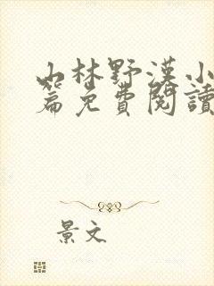 山林野汉小说全篇免费阅读封面