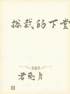 总裁的下堂妻封面