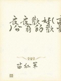 夜夜欢好(高h)公翁的欢爱