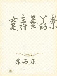 女主是丫鬟男主是将军的小说