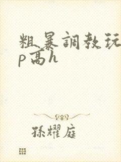 粗暴调教玩弄np高h