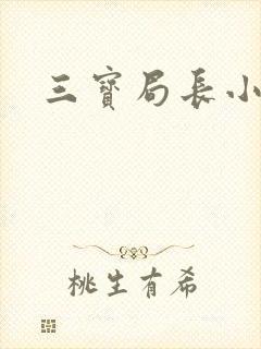 三宝局长小说封面