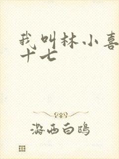 我叫林小喜今年十七封面
