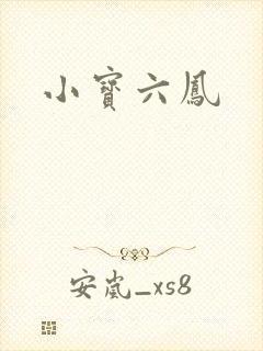 小宝六凤