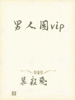 男人团vip