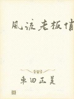 风流老板俏秘书封面