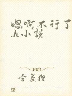 嗯啊不行了...h小说封面