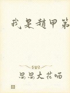 我是赵甲第小说