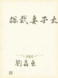 总裁妻子太诱人