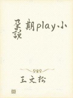 孕期play小说