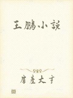王鹏小说