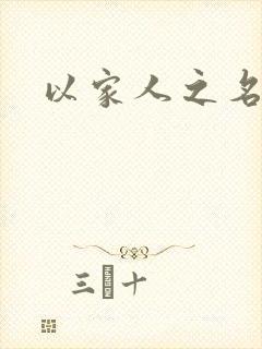 以家人之名小说