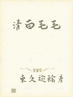 清白毛毛