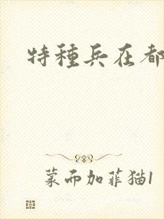 特种兵在都市